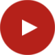 Ver Video